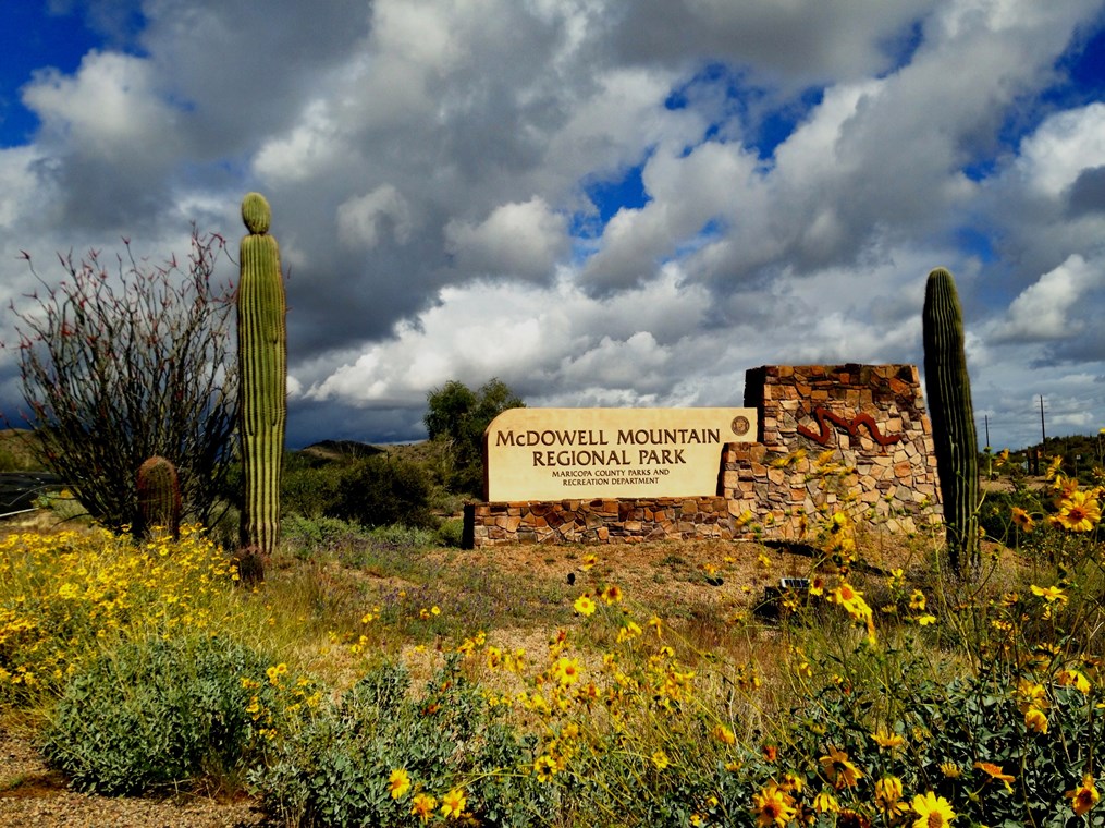 mcdowell mountain