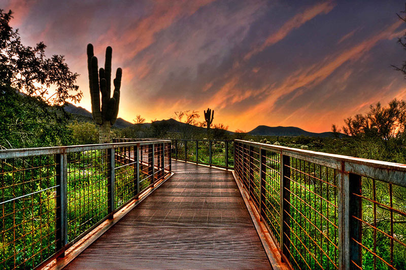 sonoran preserve